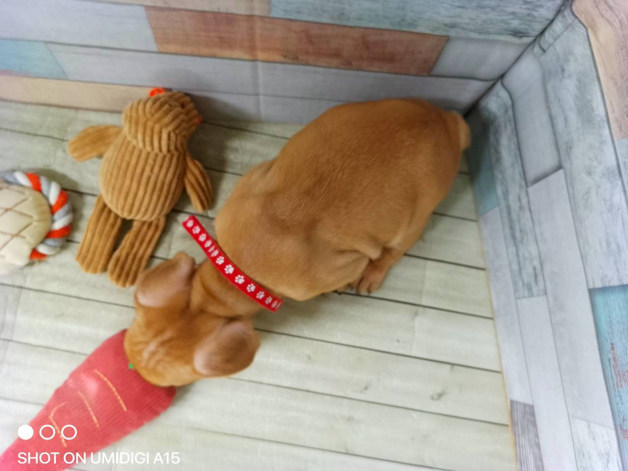赤ちゃん写真3-3