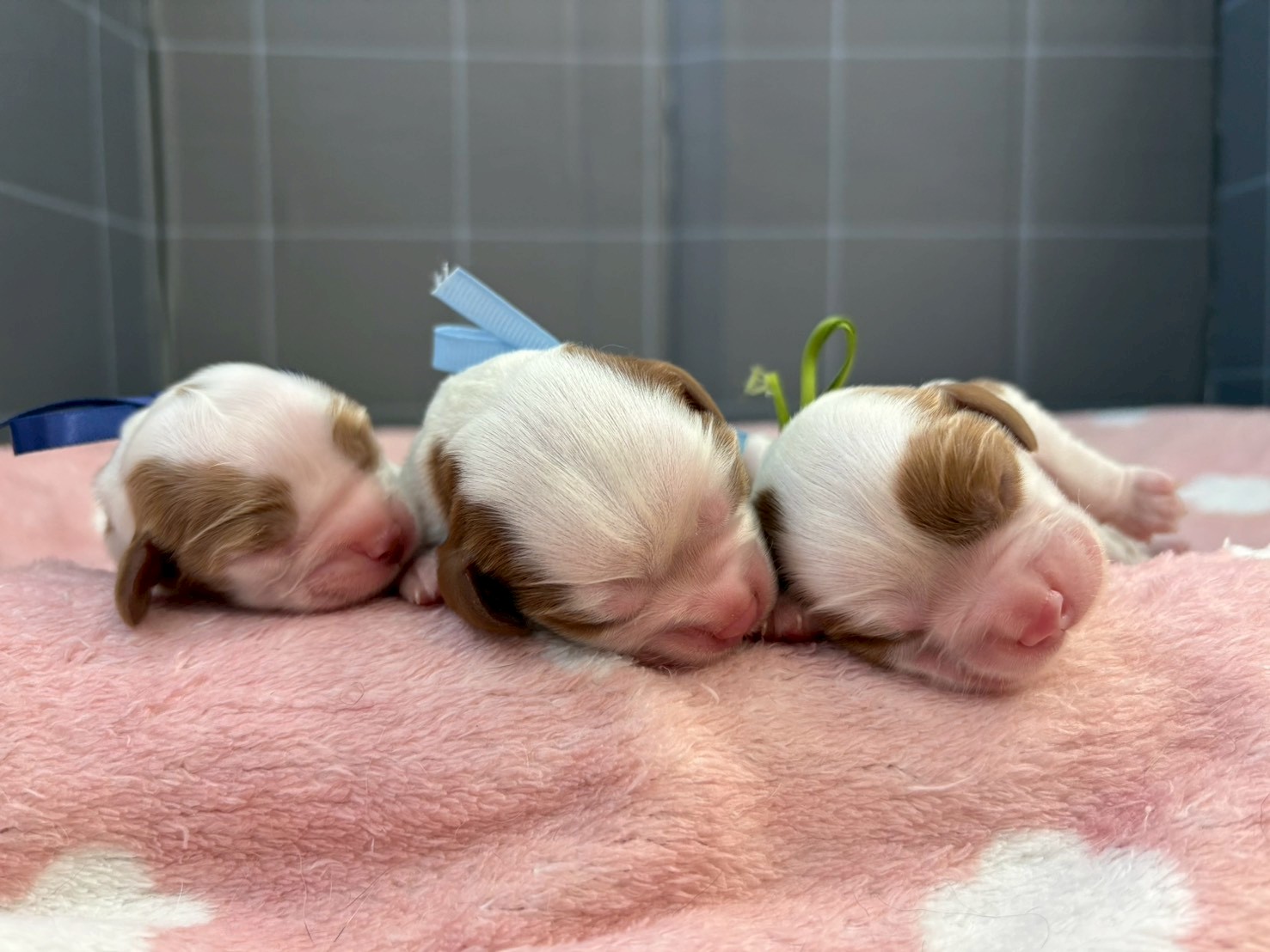 赤ちゃん写真1-3