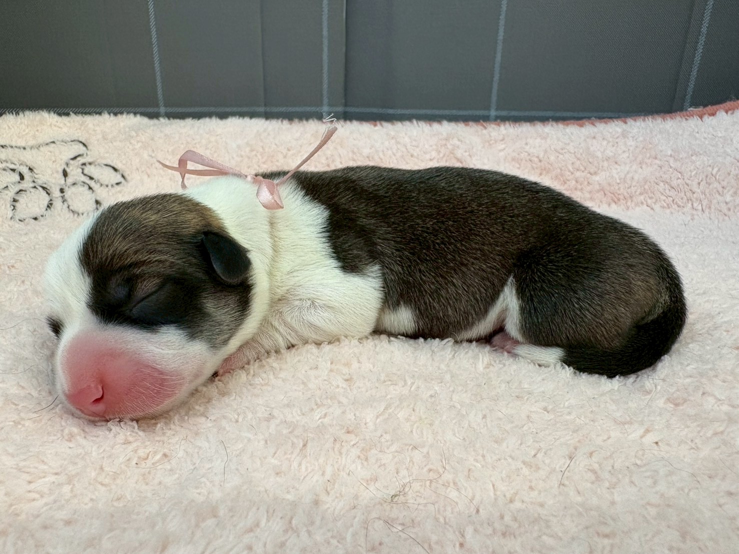 赤ちゃん写真1-2