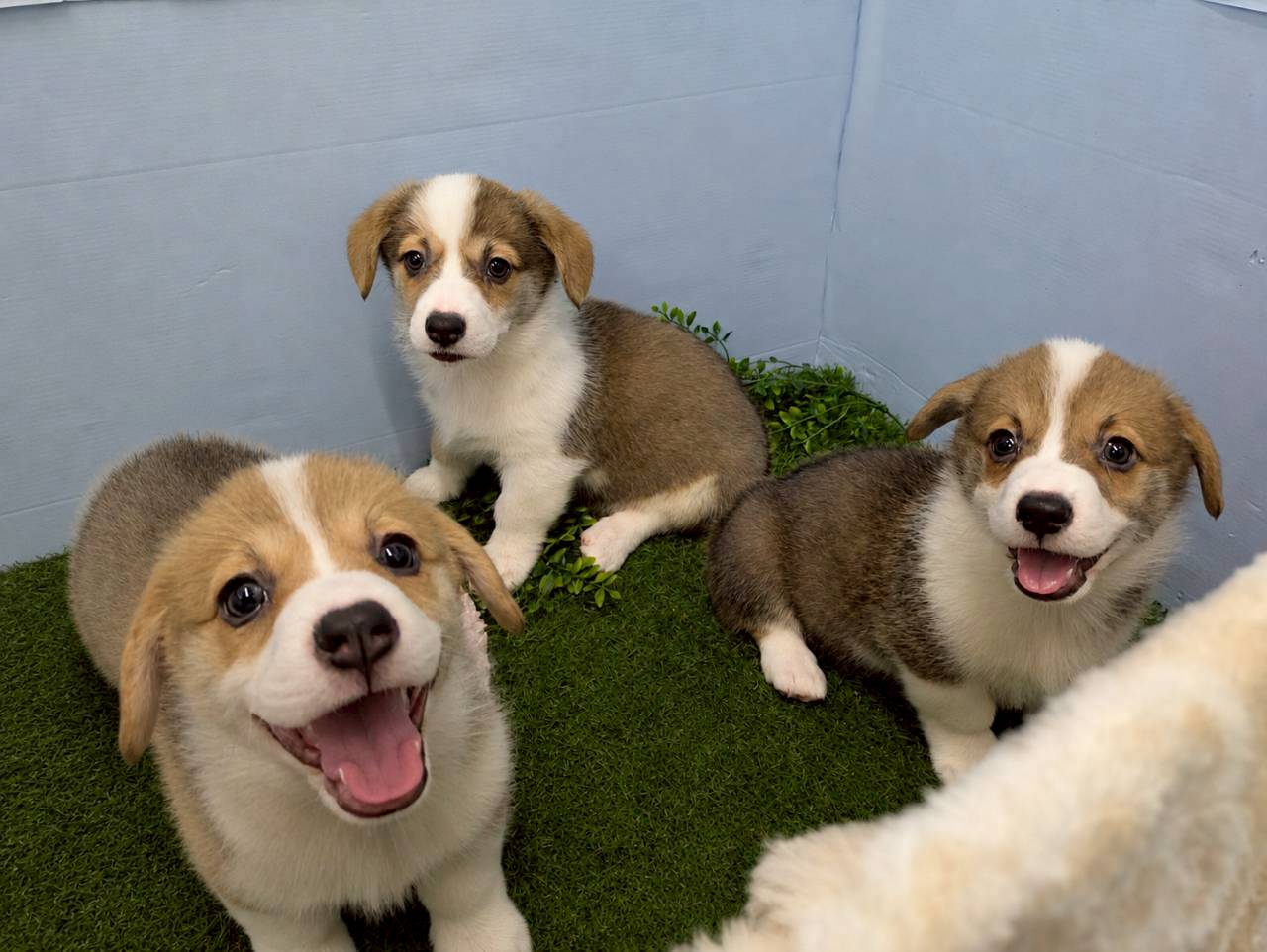 赤ちゃん写真3-3