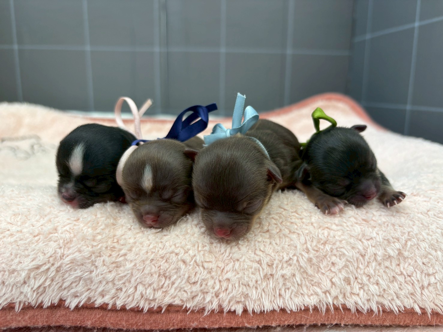 赤ちゃん写真1-3