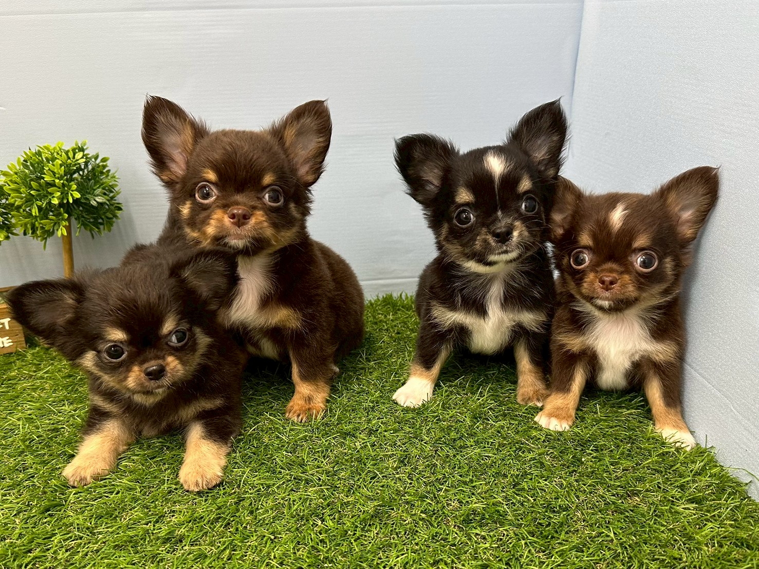 赤ちゃん写真3-3