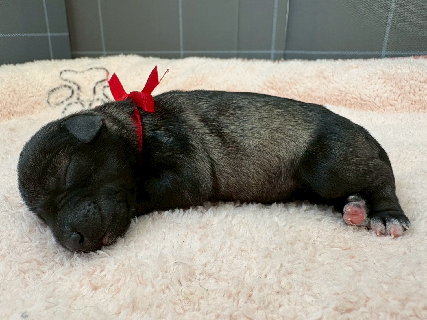 赤ちゃん写真1-2