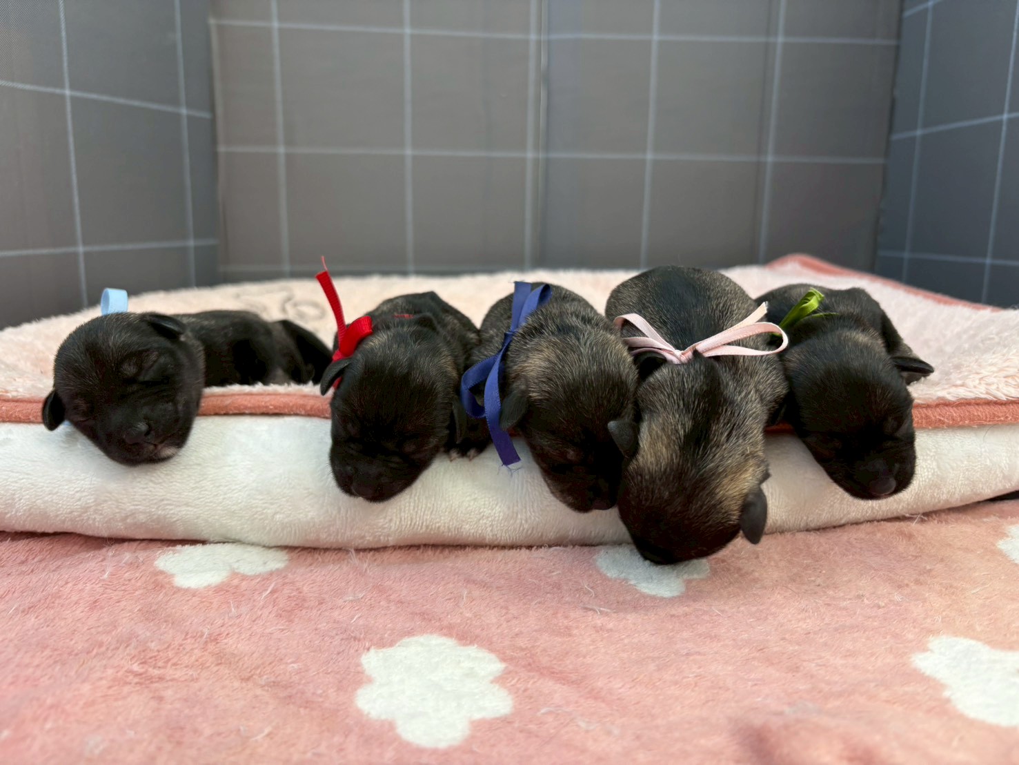 赤ちゃん写真1-3