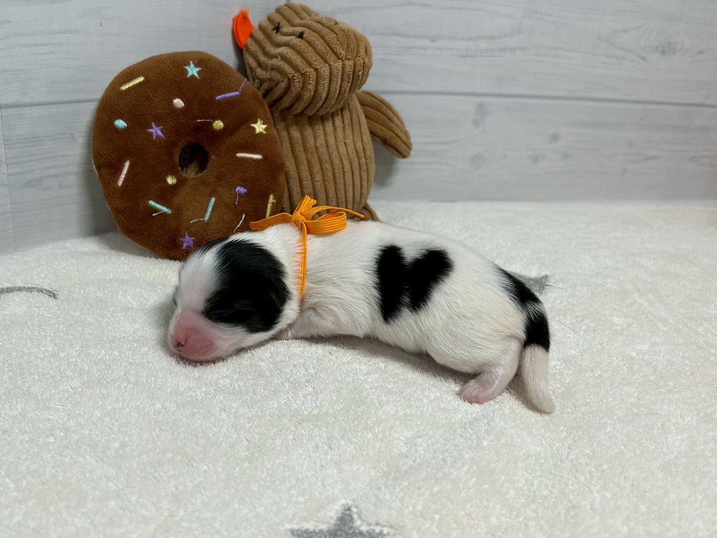 赤ちゃん写真1-2