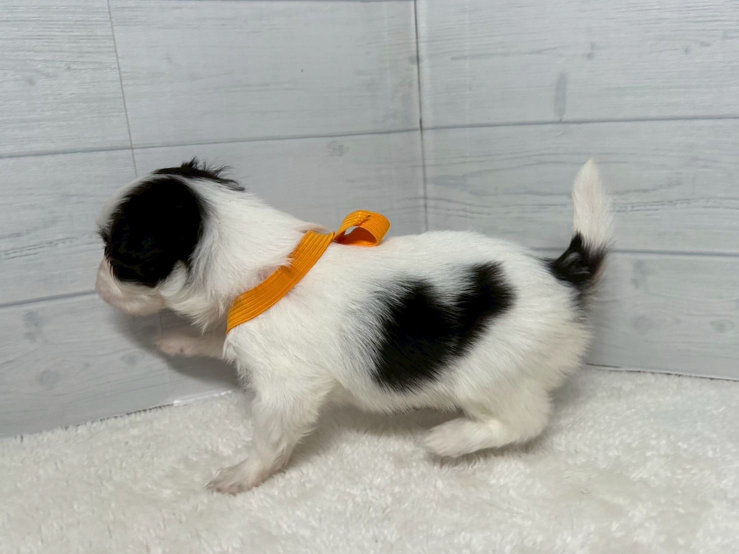 赤ちゃん写真2-2
