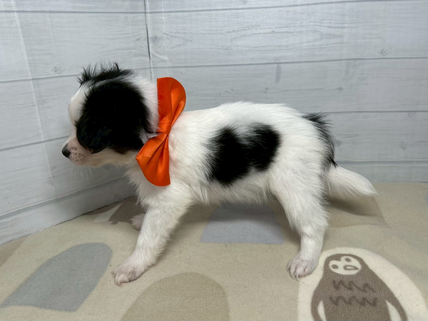 赤ちゃん写真3-2
