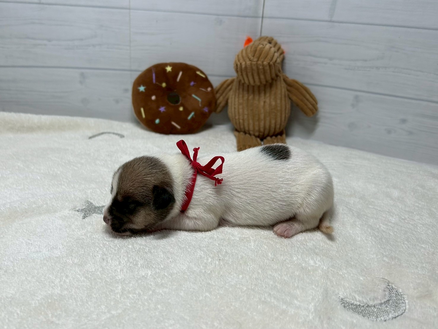 赤ちゃん写真1-2