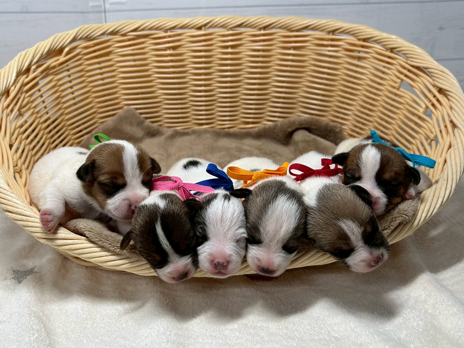 赤ちゃん写真1-3