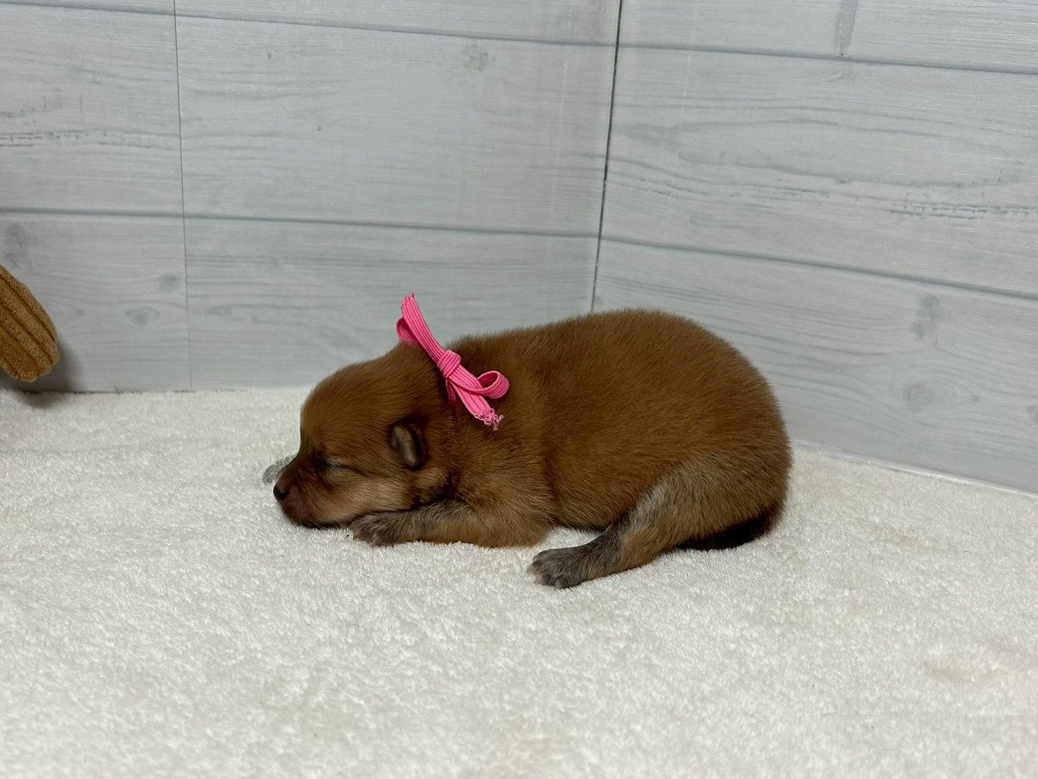 赤ちゃん写真1-2