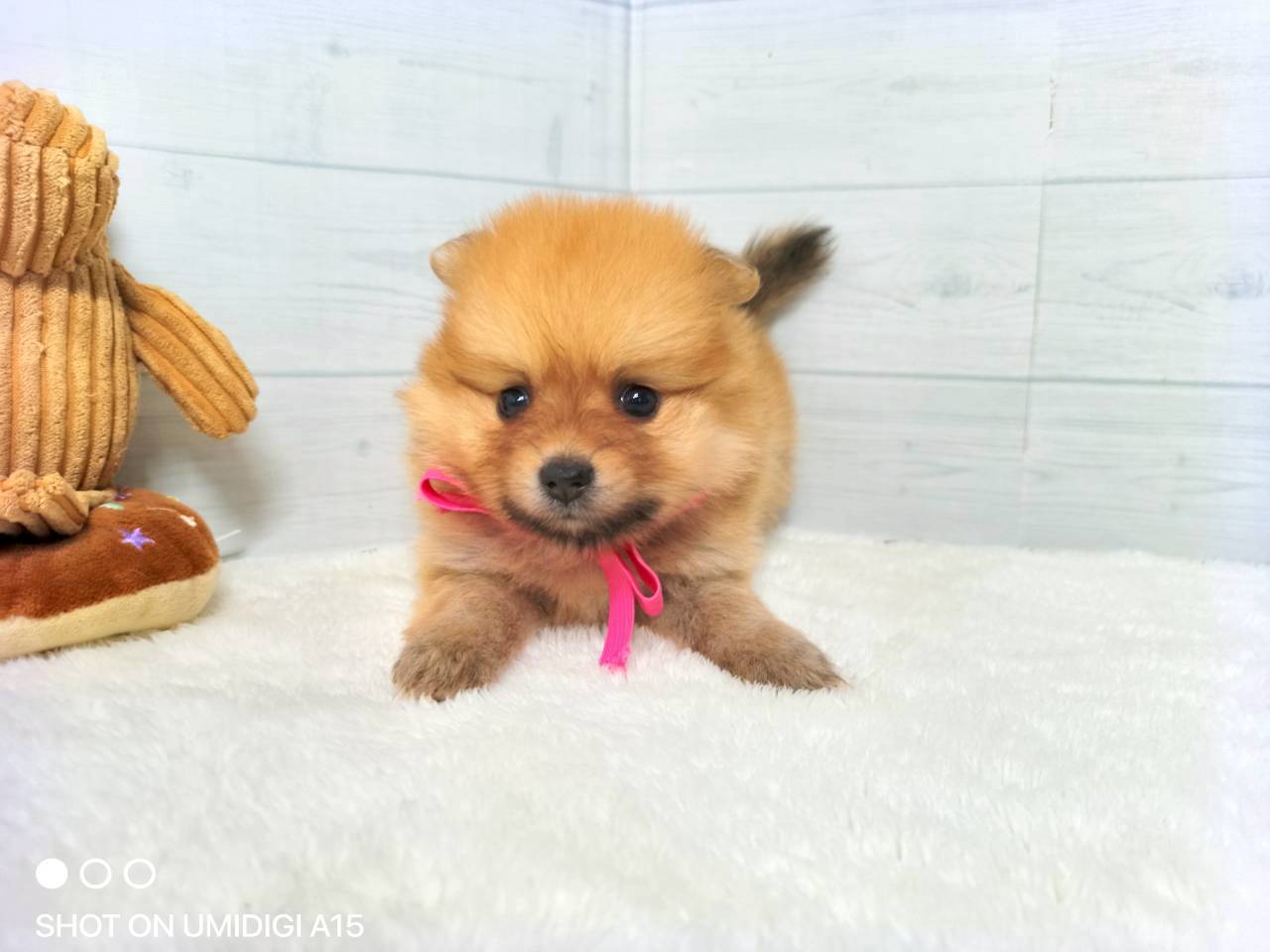 赤ちゃん写真2-1