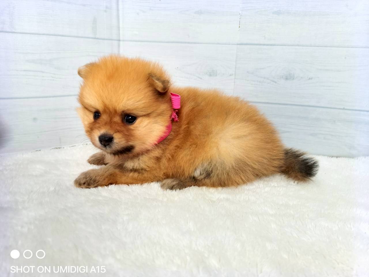 赤ちゃん写真2-2