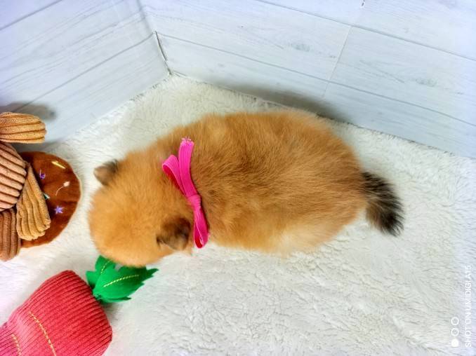 赤ちゃん写真2-3
