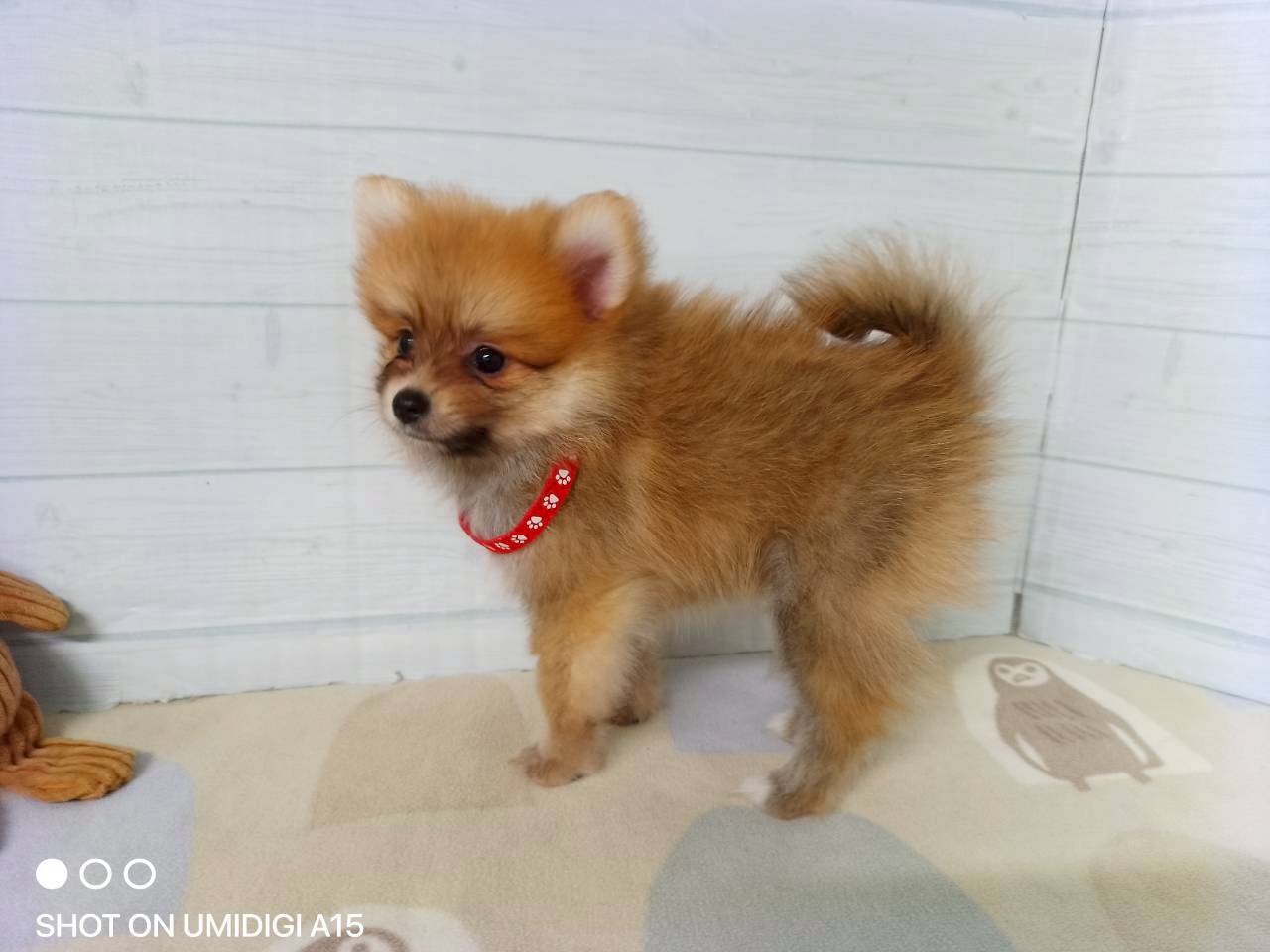 赤ちゃん写真3-2