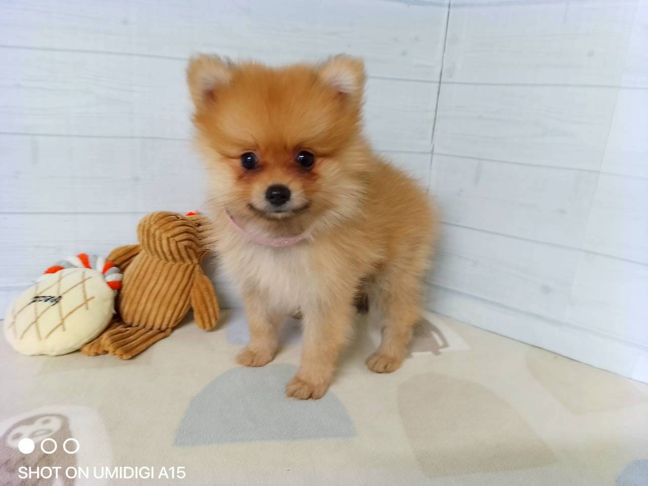 赤ちゃん写真3-1