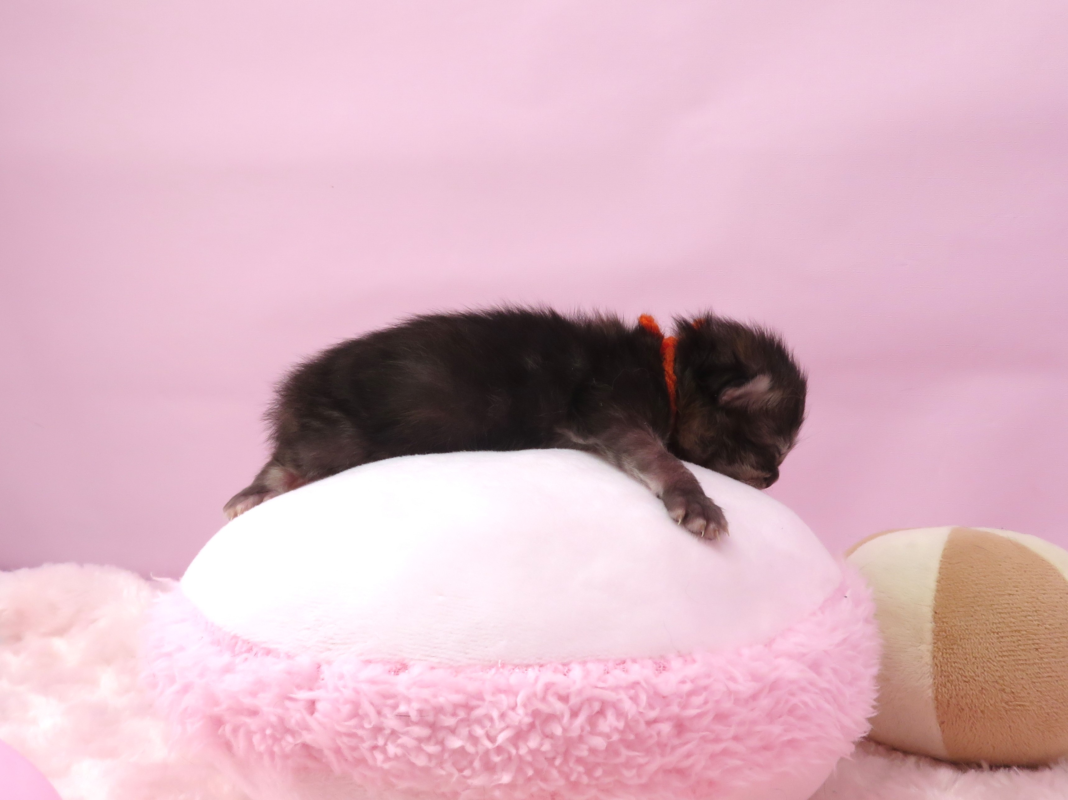 赤ちゃん写真1-3