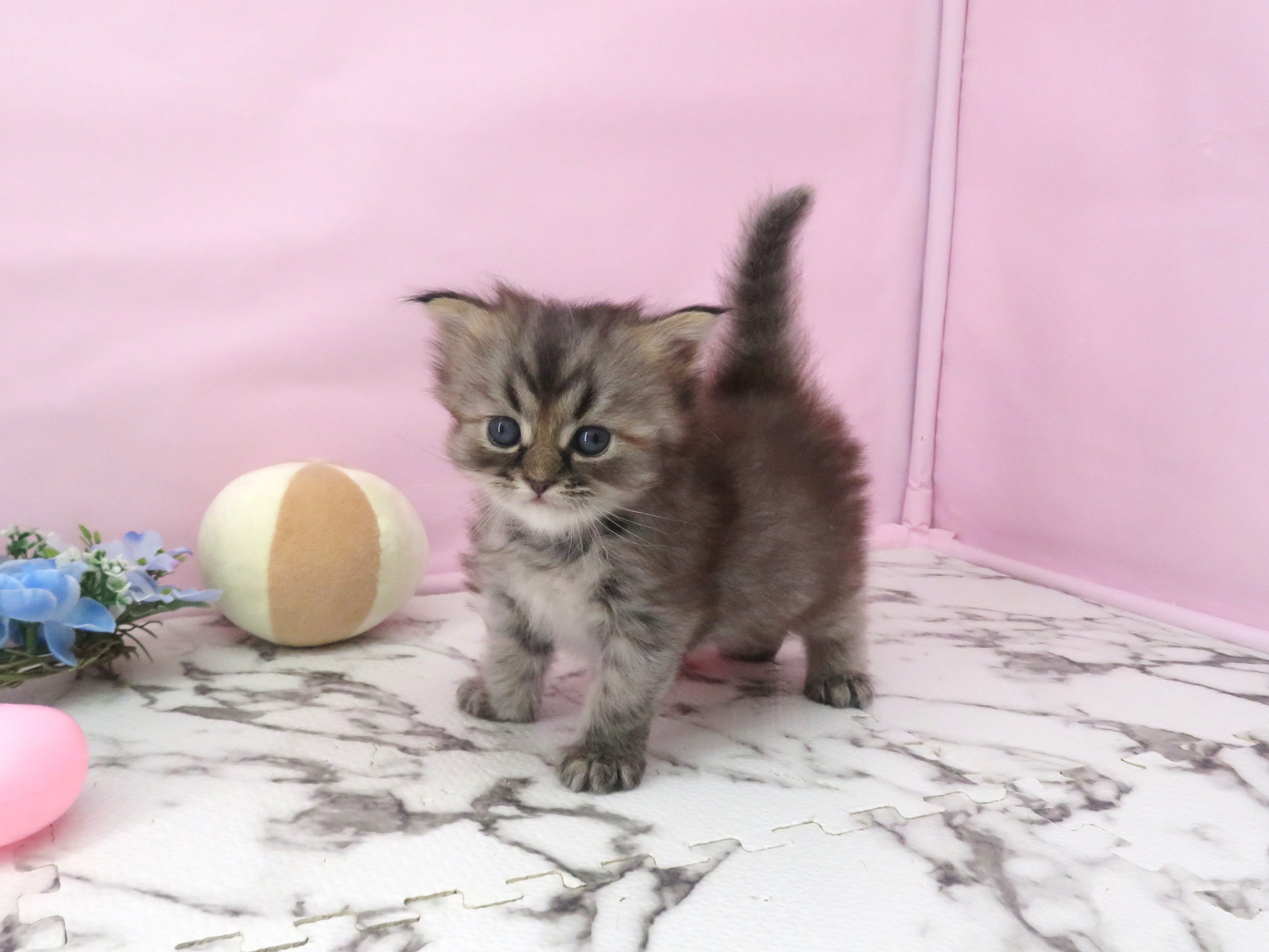 赤ちゃん写真2-1