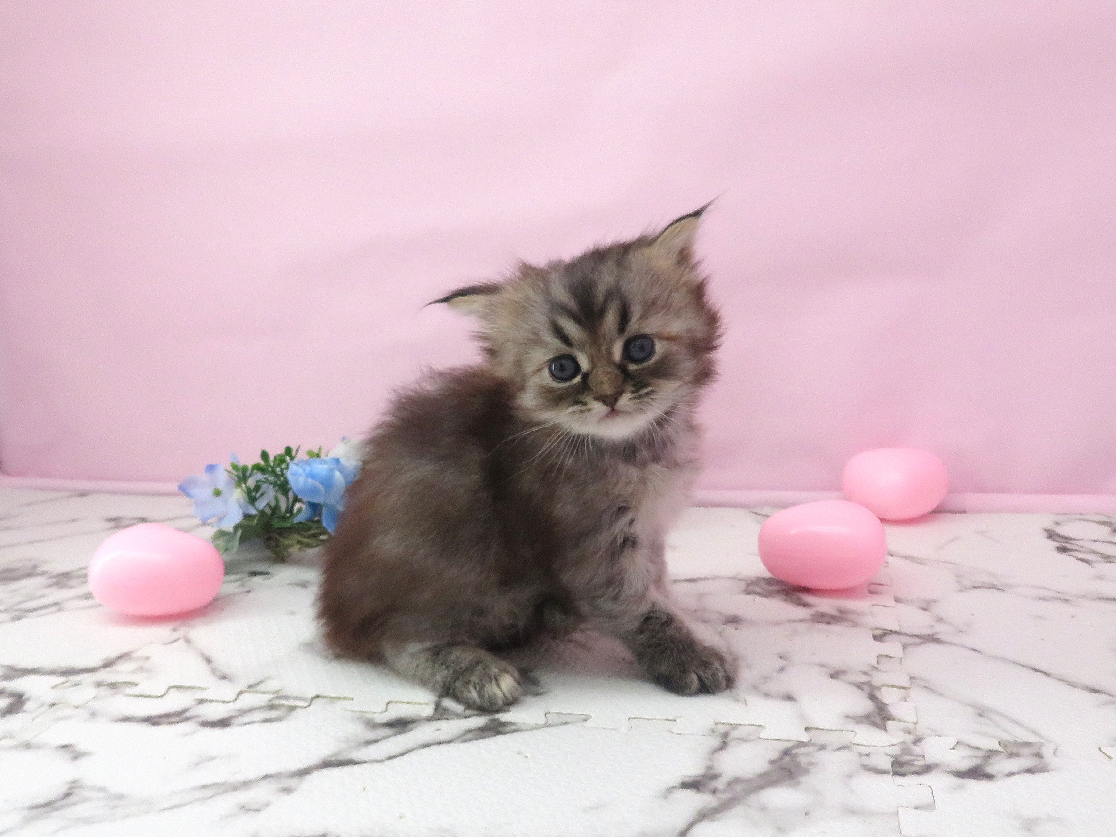 赤ちゃん写真2-2