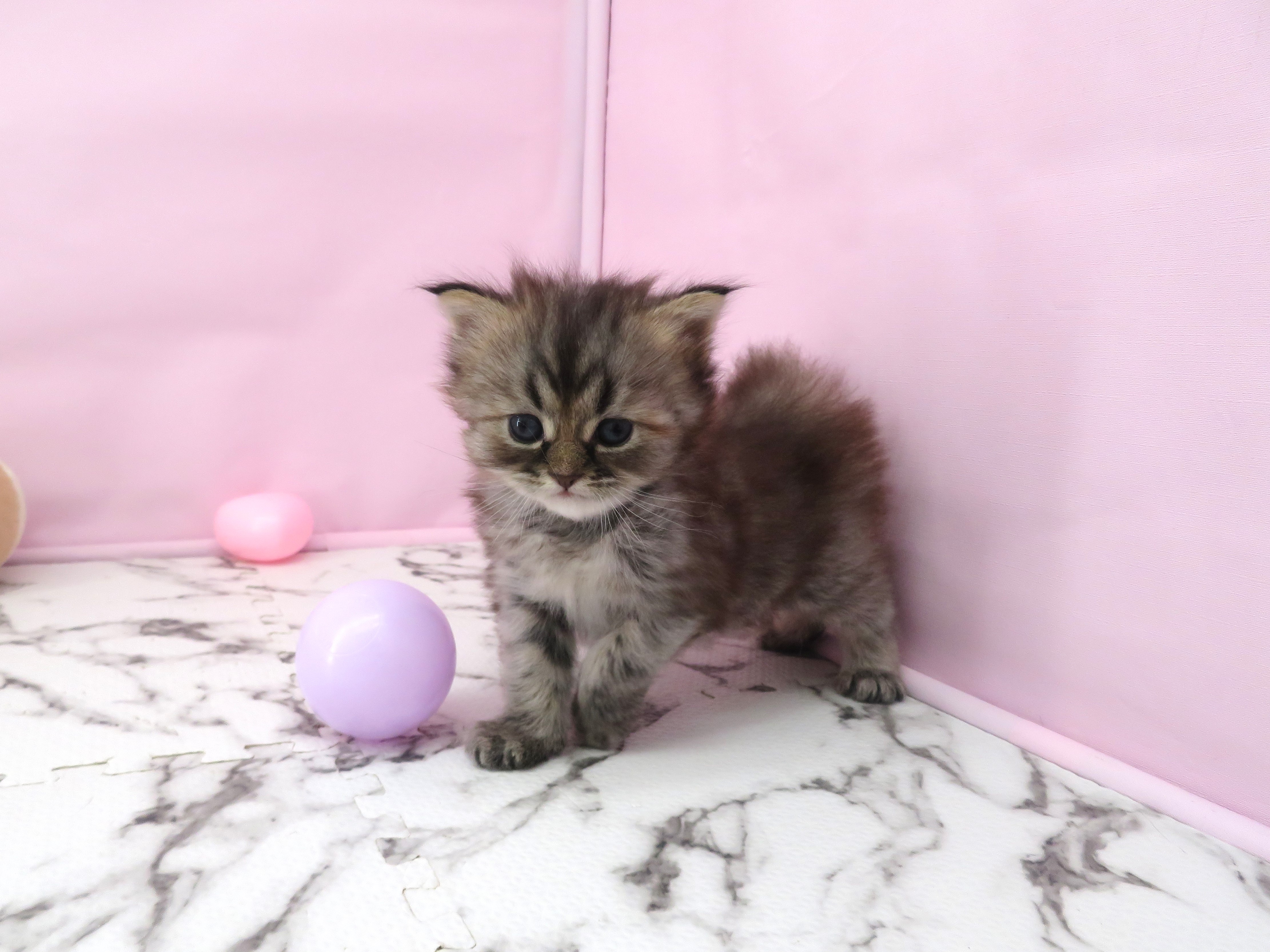 赤ちゃん写真2-3