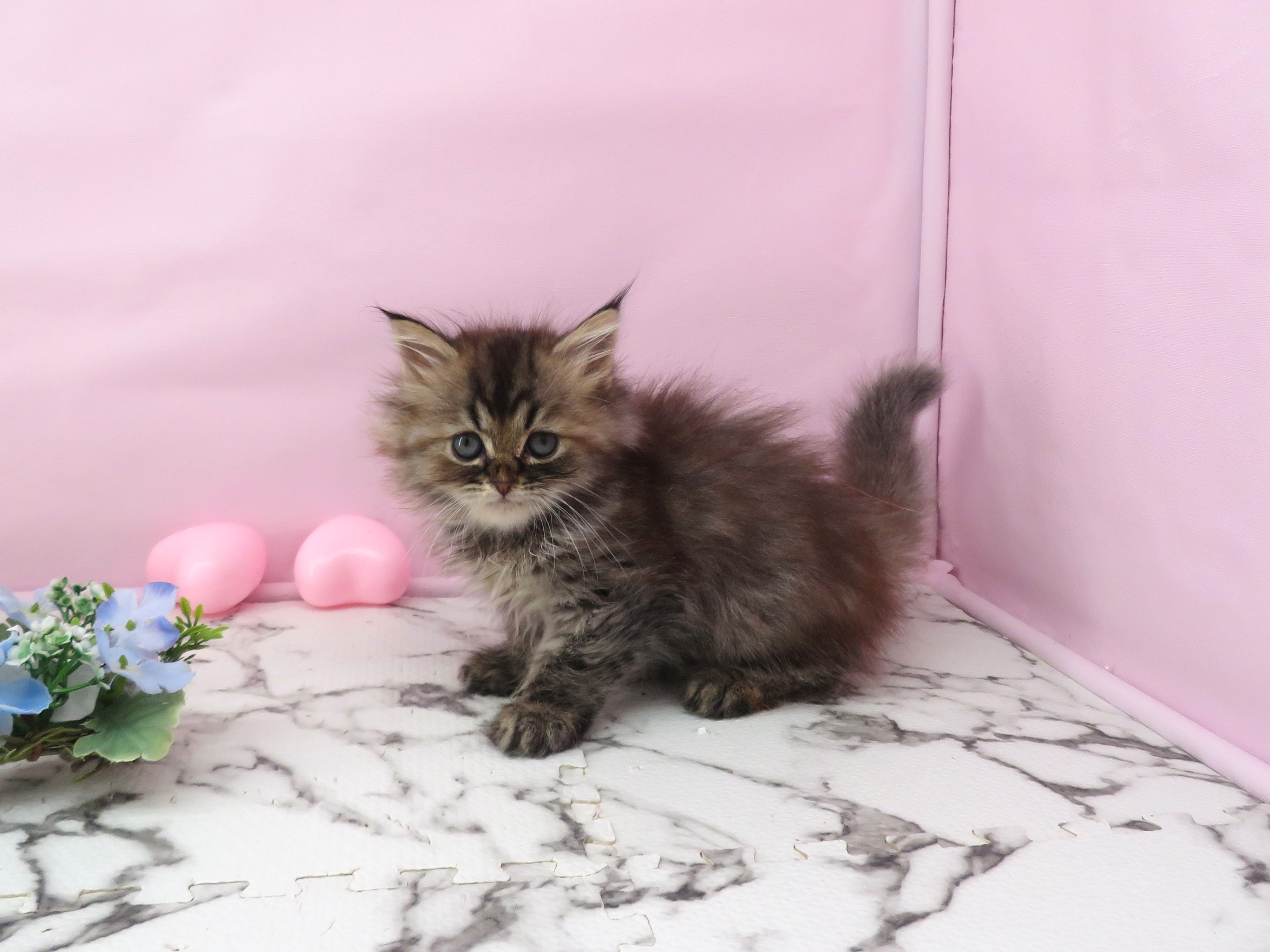 赤ちゃん写真3-3