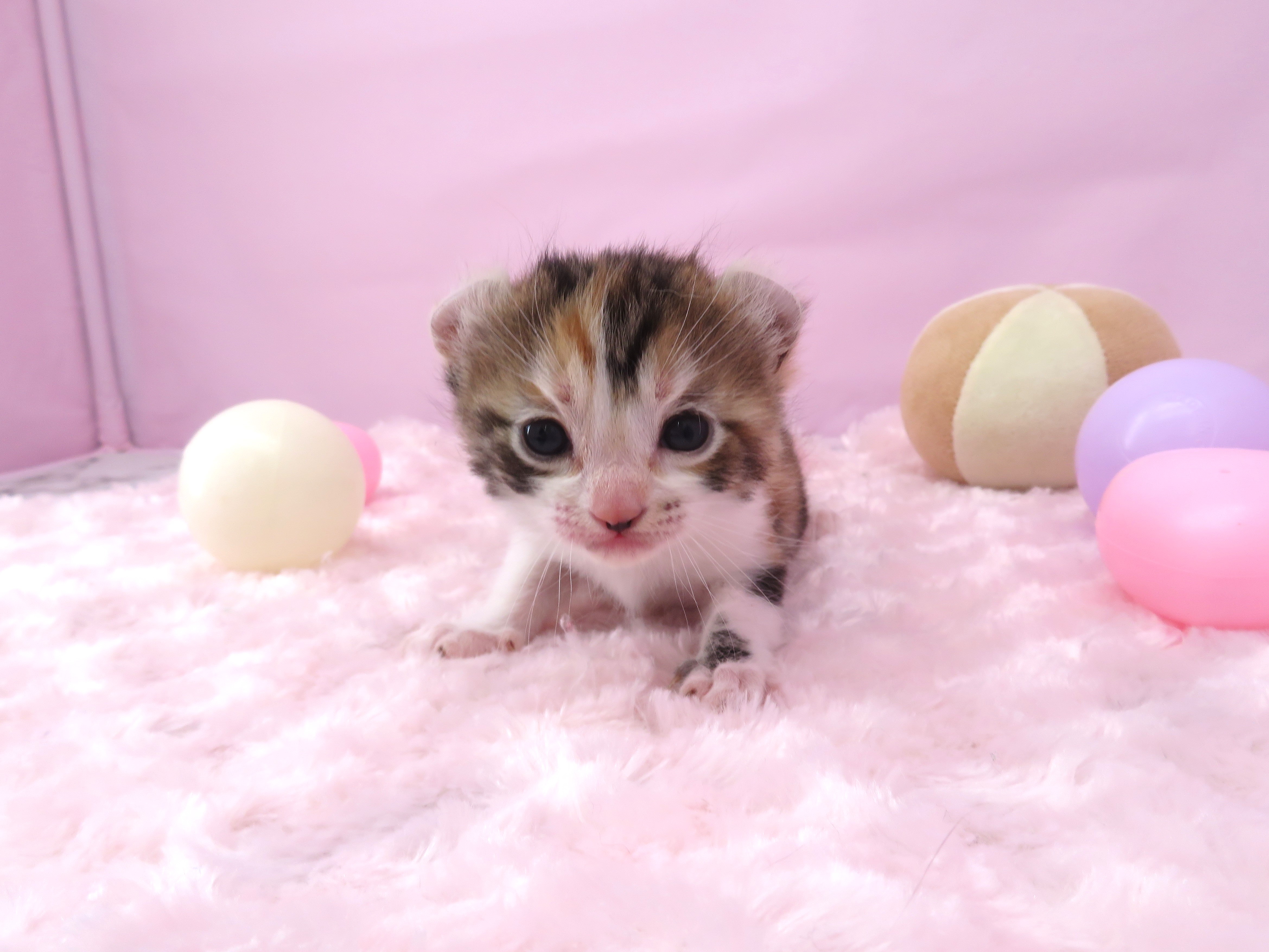 赤ちゃん写真1-1