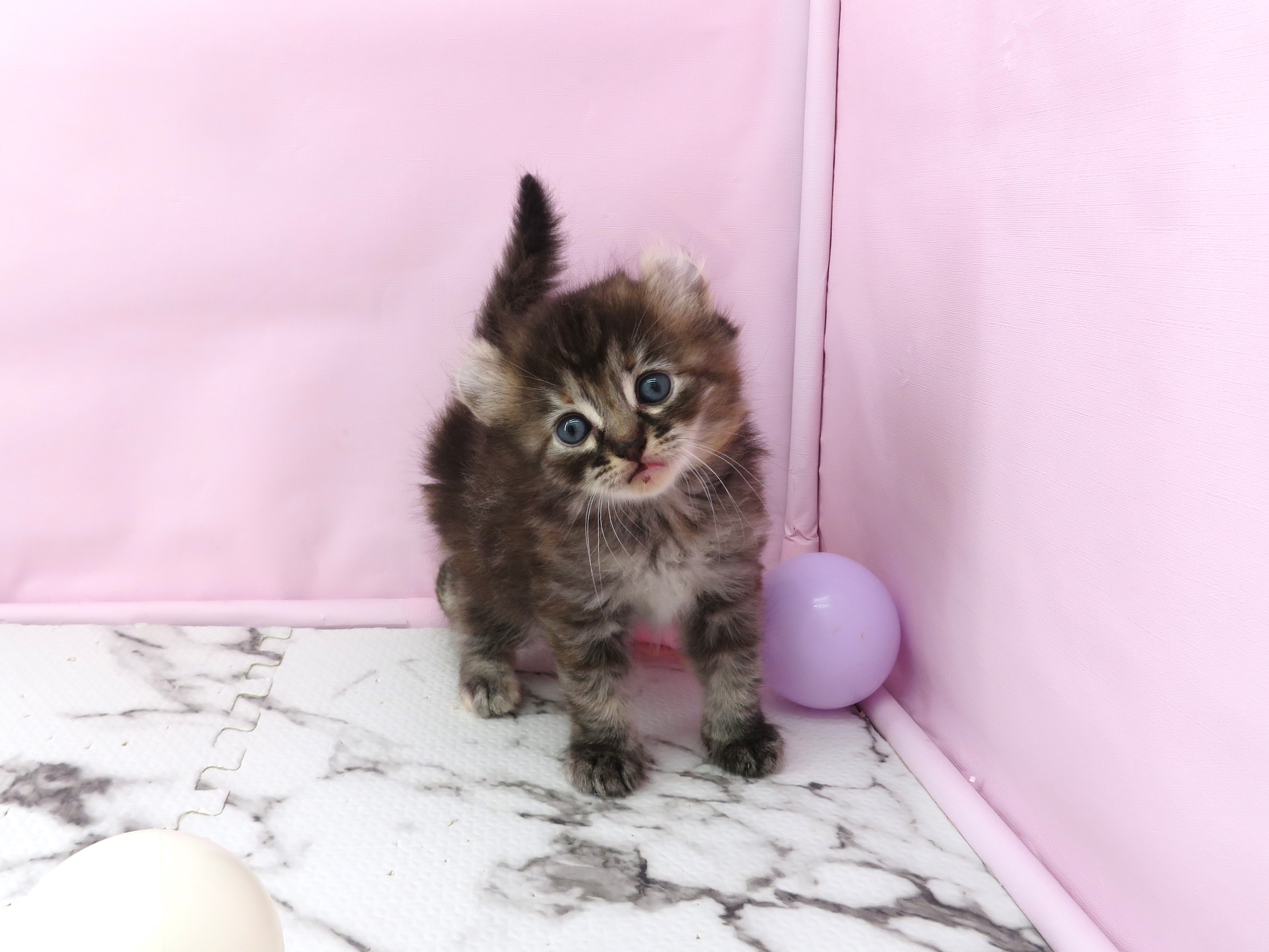 赤ちゃん写真2-1