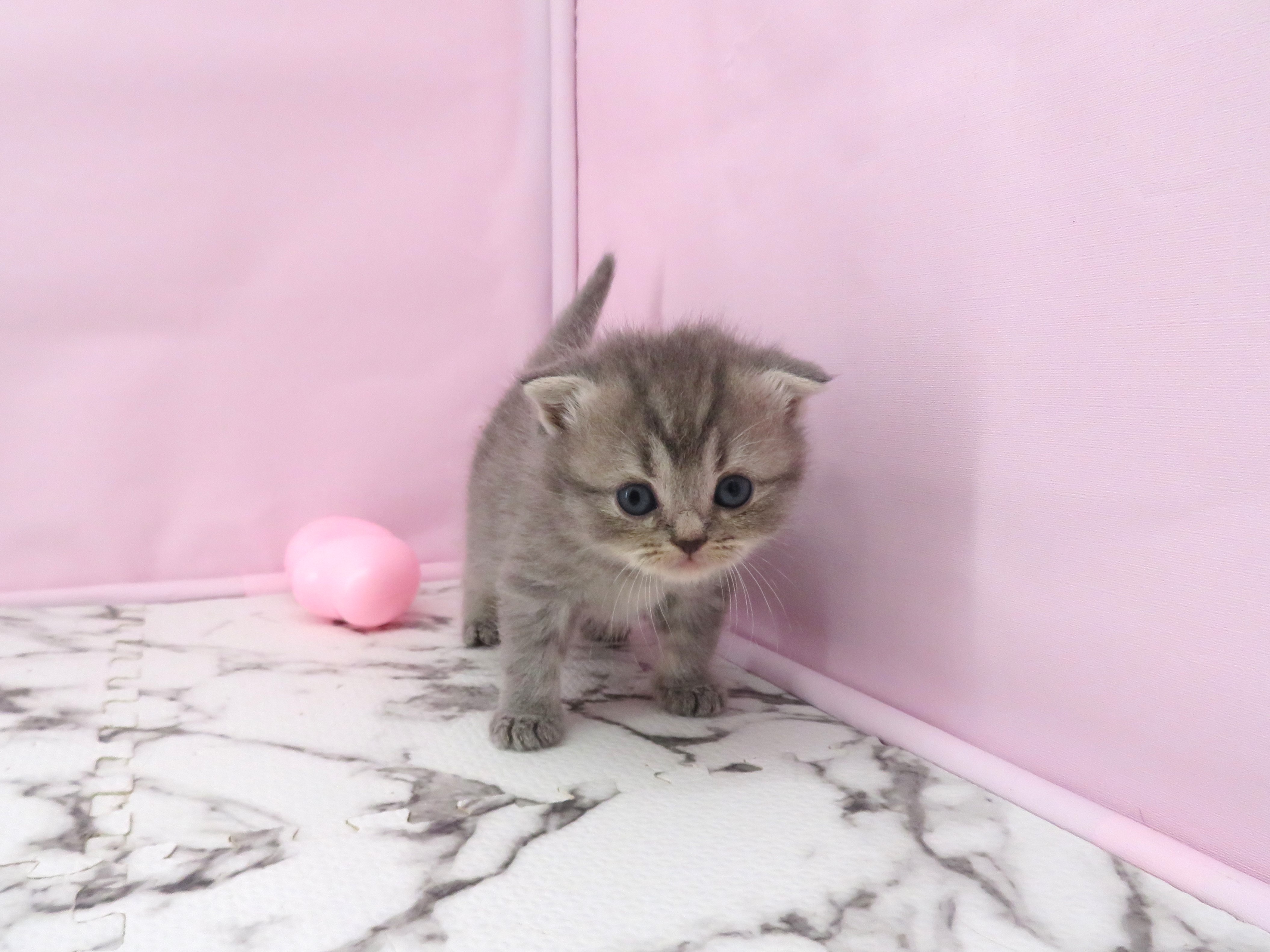 赤ちゃん写真2-1