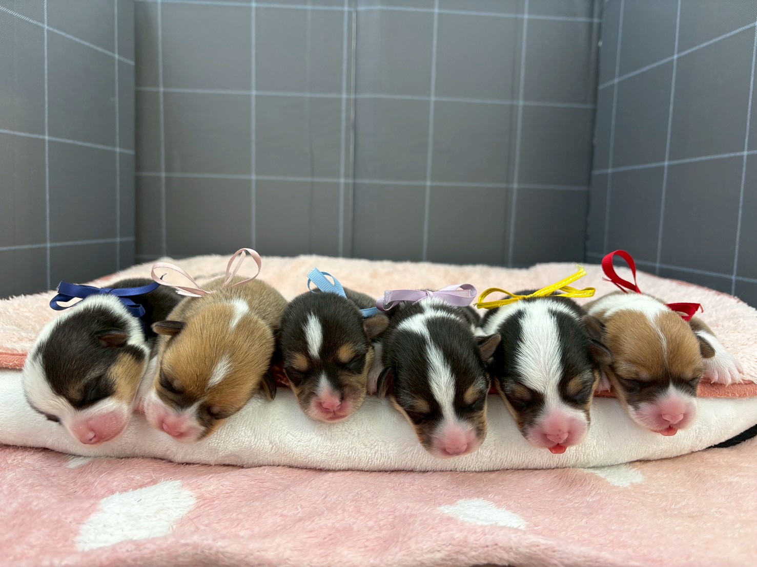 赤ちゃん写真1-3