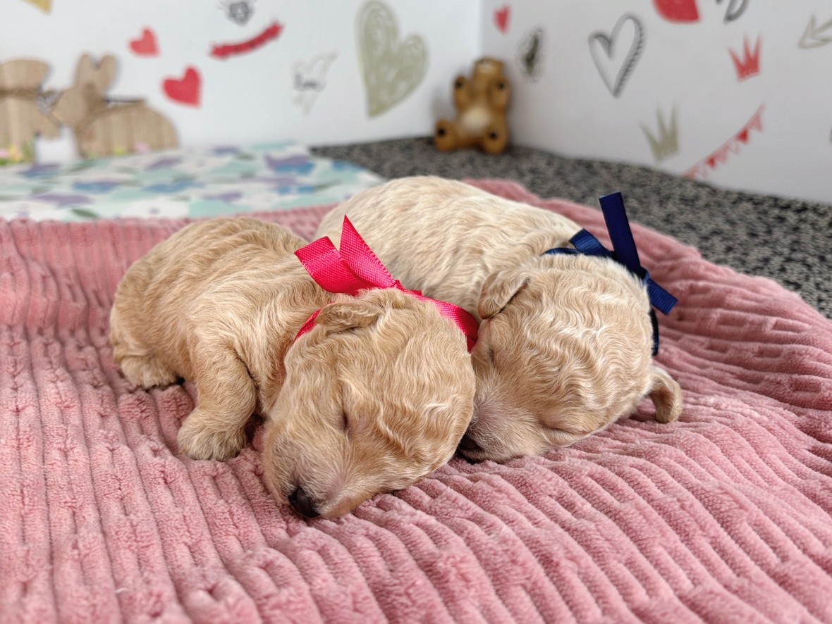 赤ちゃん写真1-3