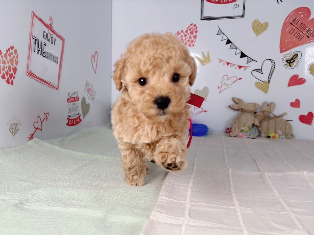 赤ちゃん写真2-1