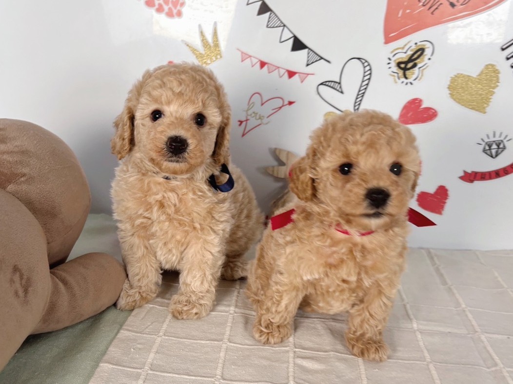 赤ちゃん写真2-3