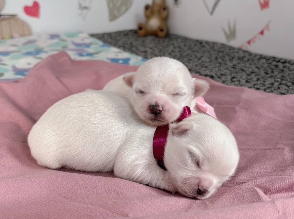 赤ちゃん写真1-3