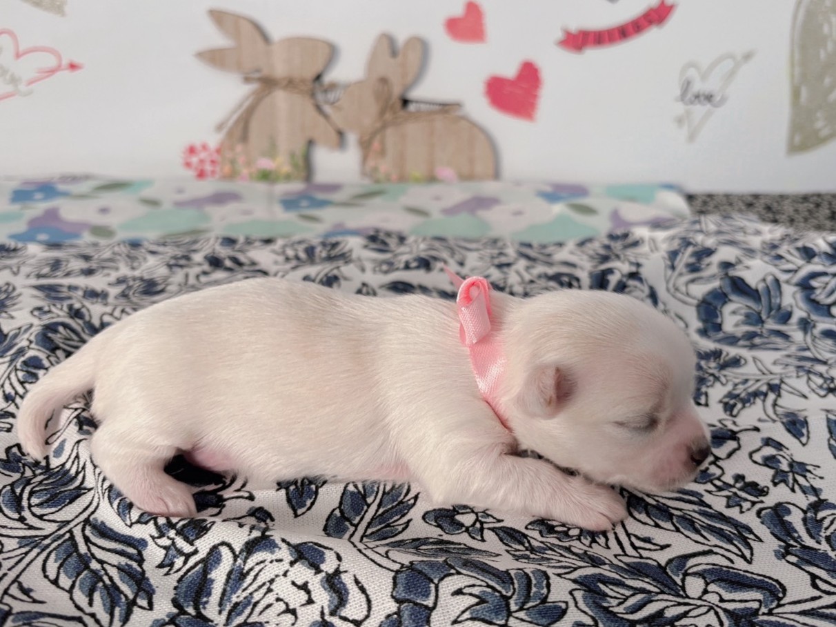 赤ちゃん写真1-2