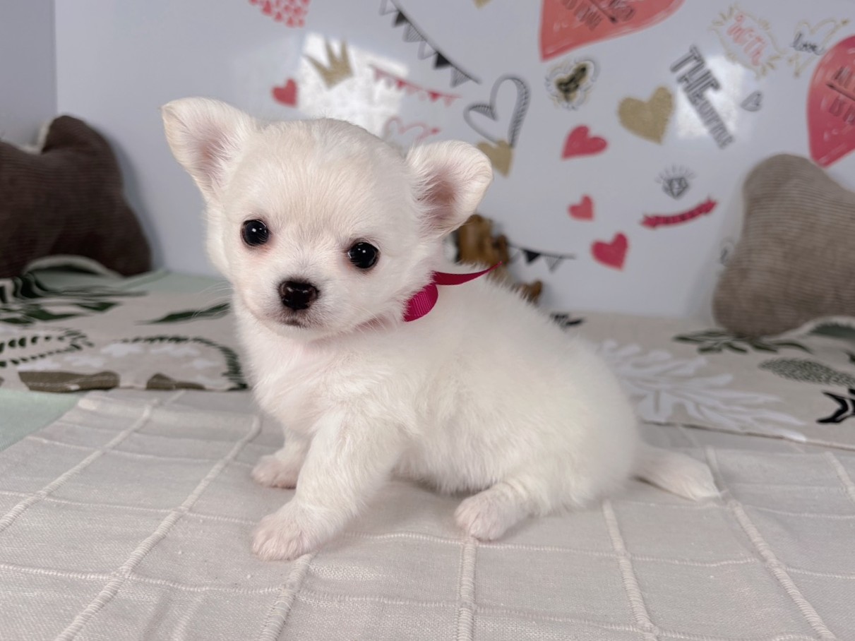 赤ちゃん写真2-2