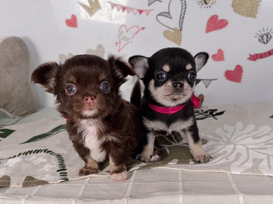 赤ちゃん写真2-3