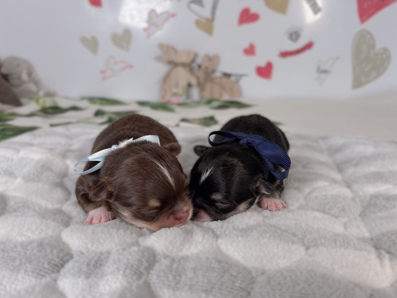 赤ちゃん写真1-3