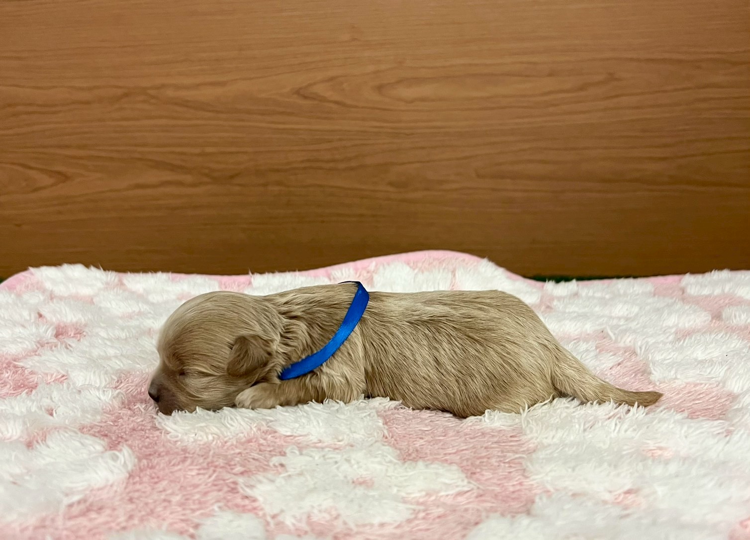 赤ちゃん写真1-2