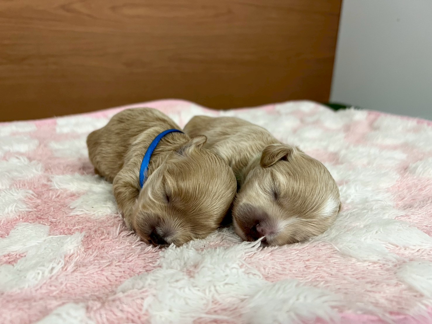 赤ちゃん写真1-3