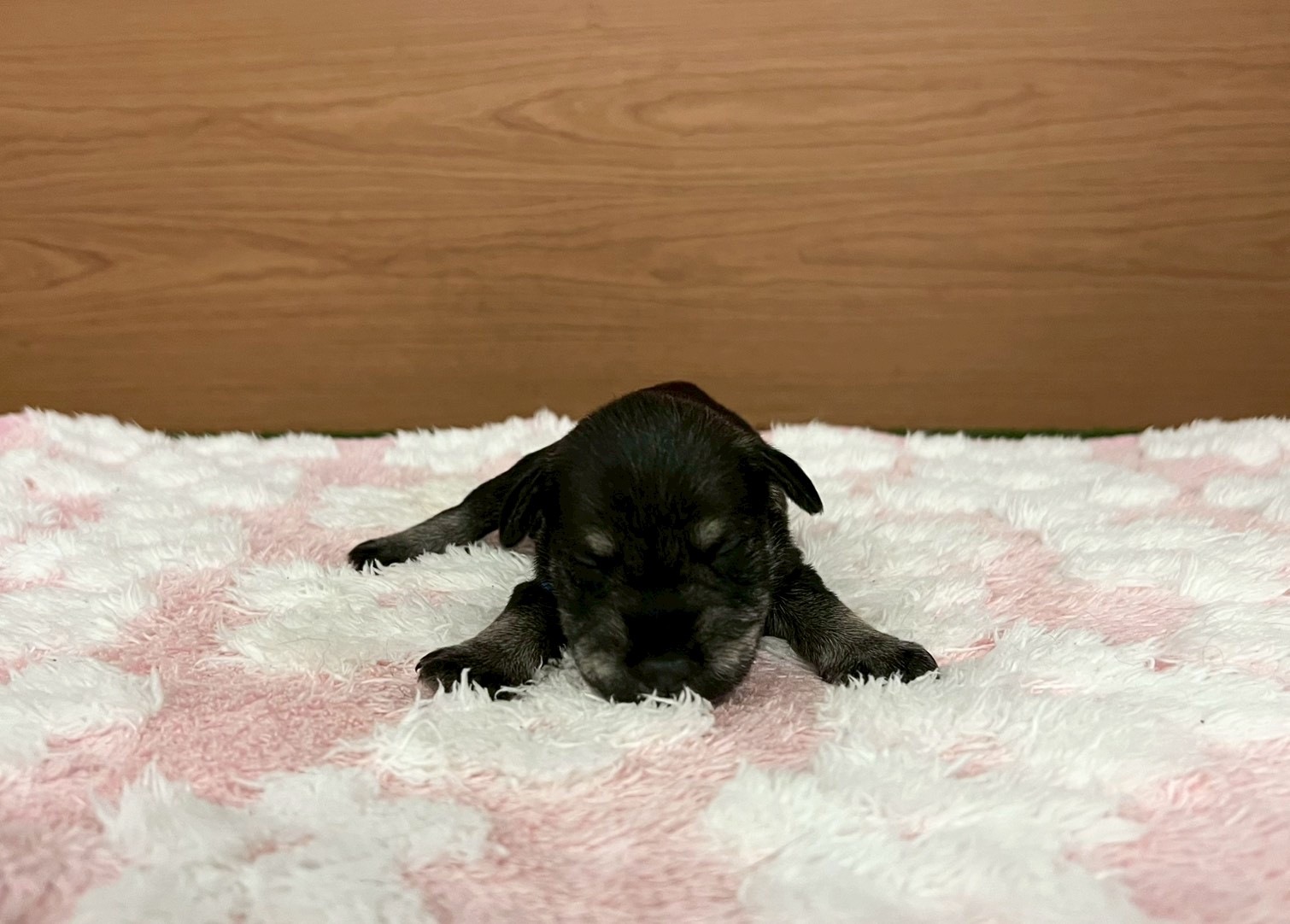 赤ちゃん写真1-1