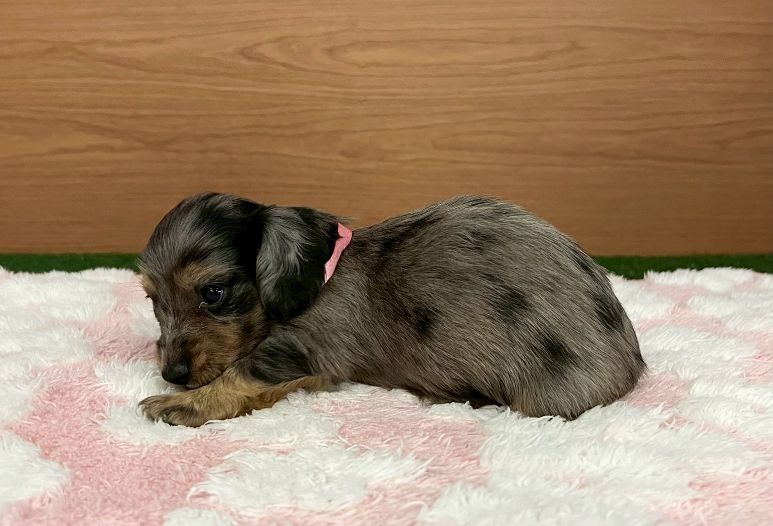 赤ちゃん写真2-2