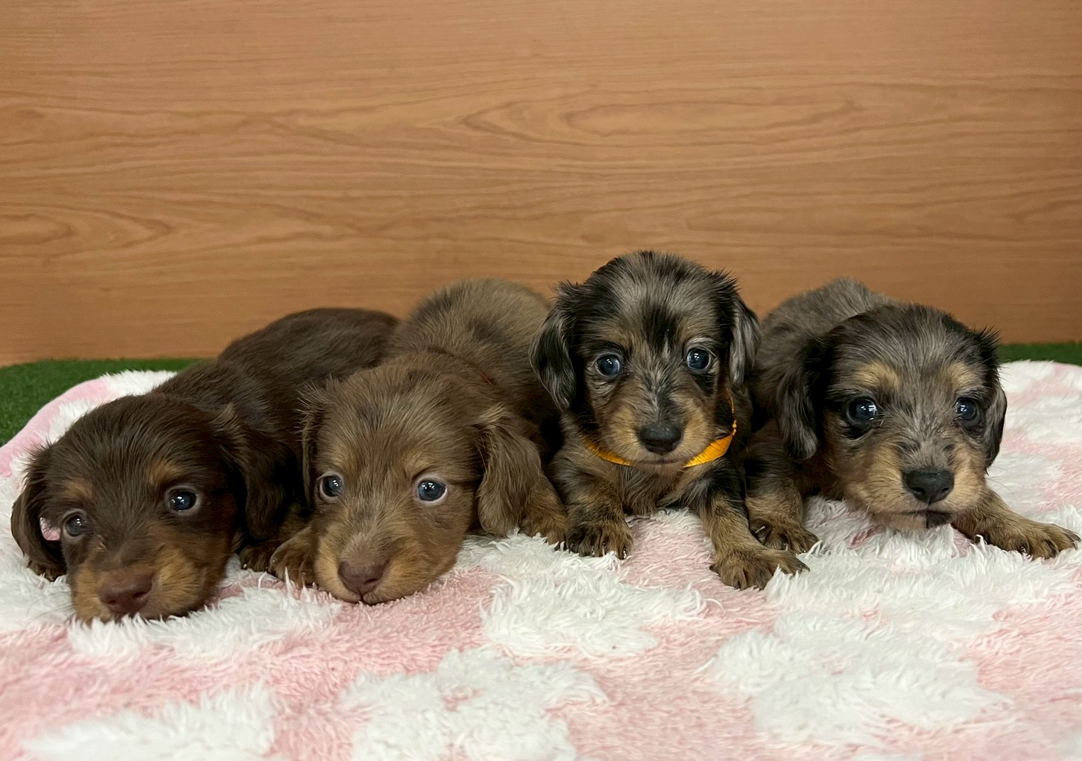 赤ちゃん写真2-3