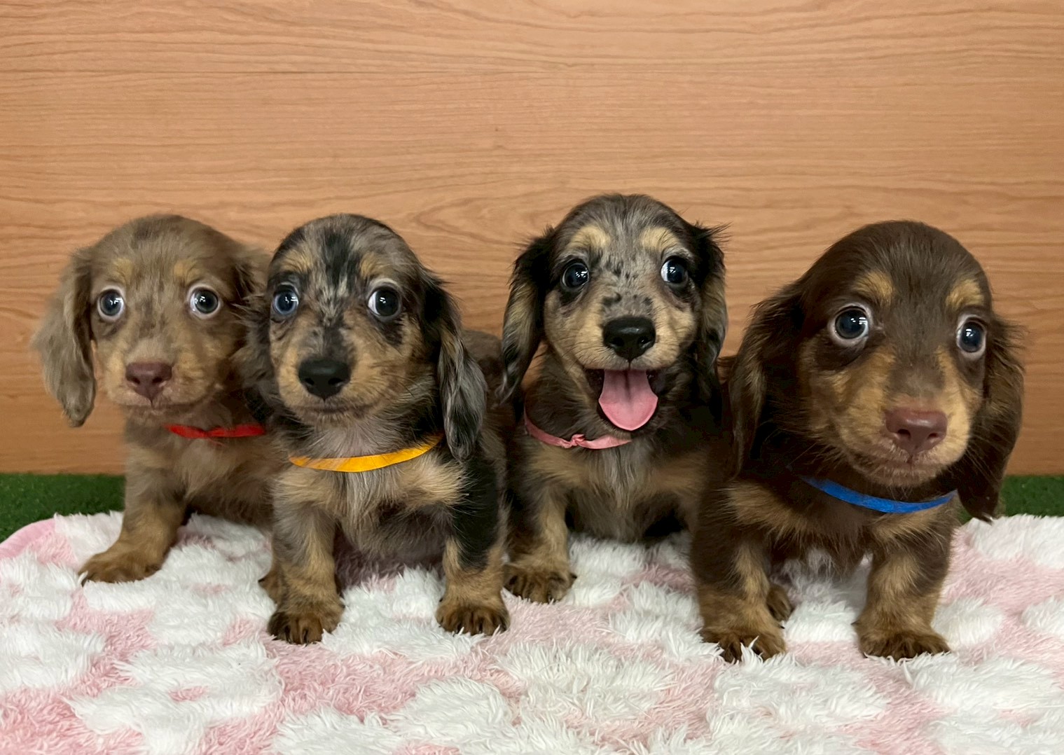 赤ちゃん写真3-3