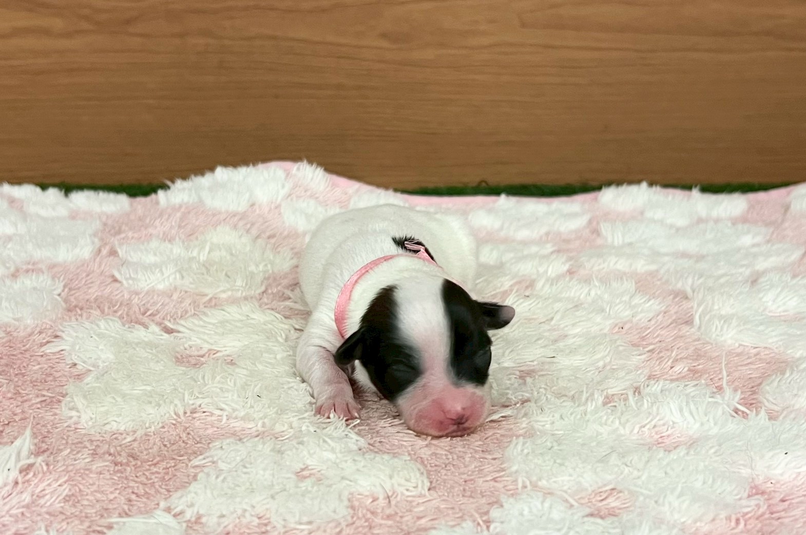 赤ちゃん写真1-1