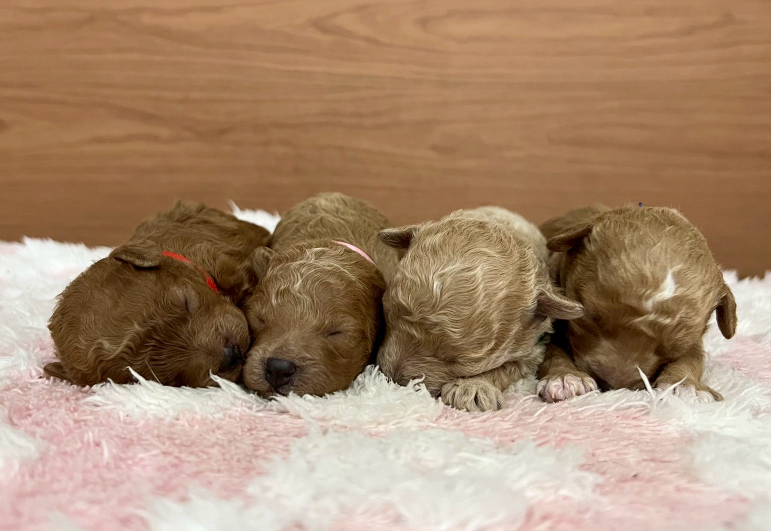 赤ちゃん写真1-3