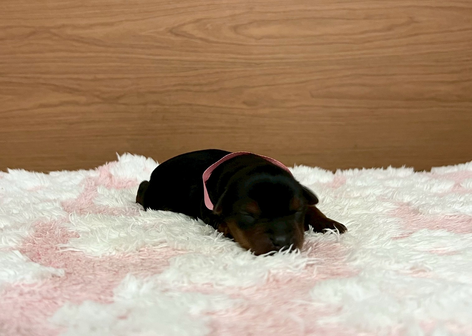 赤ちゃん写真1-1