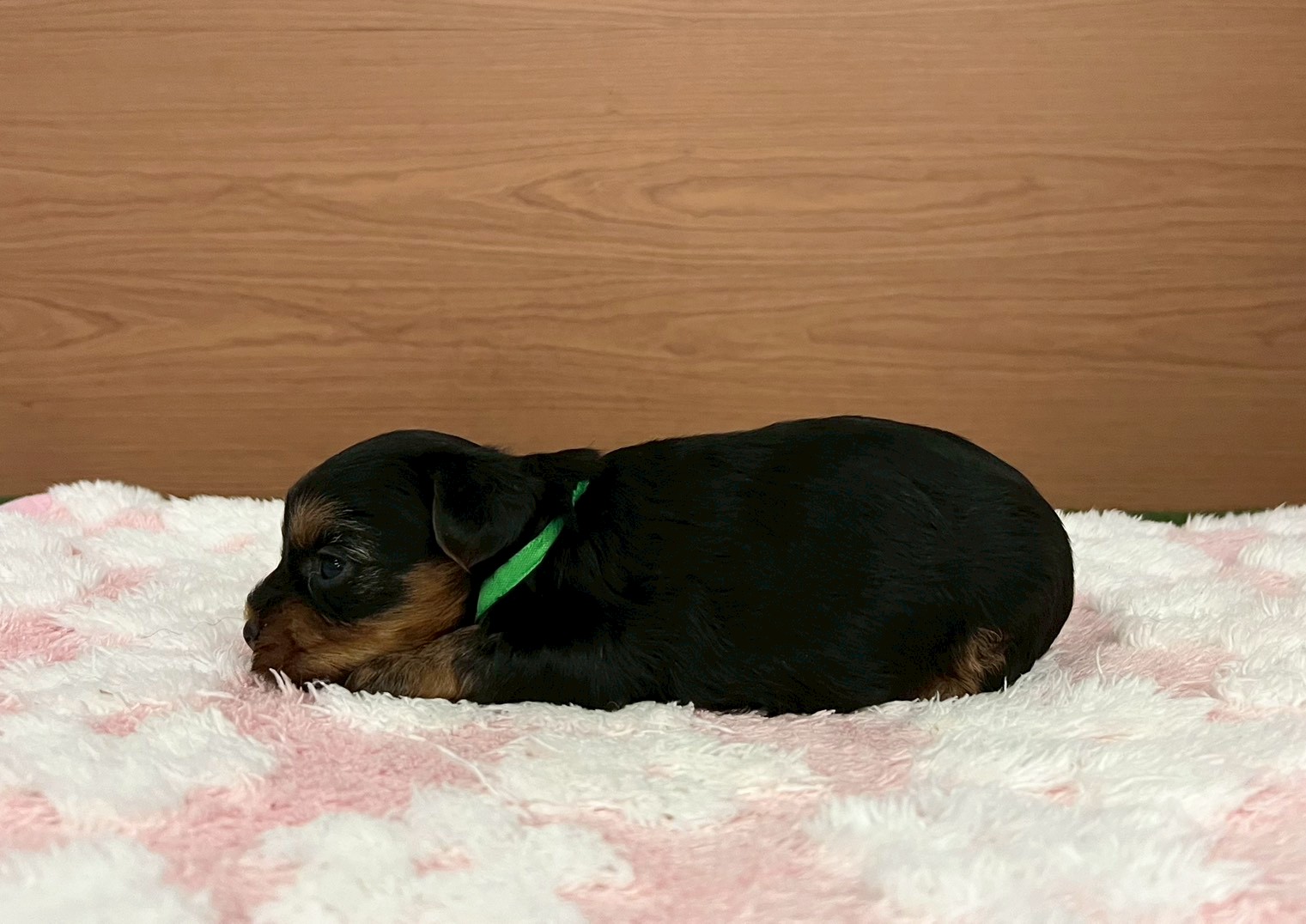 赤ちゃん写真2-2