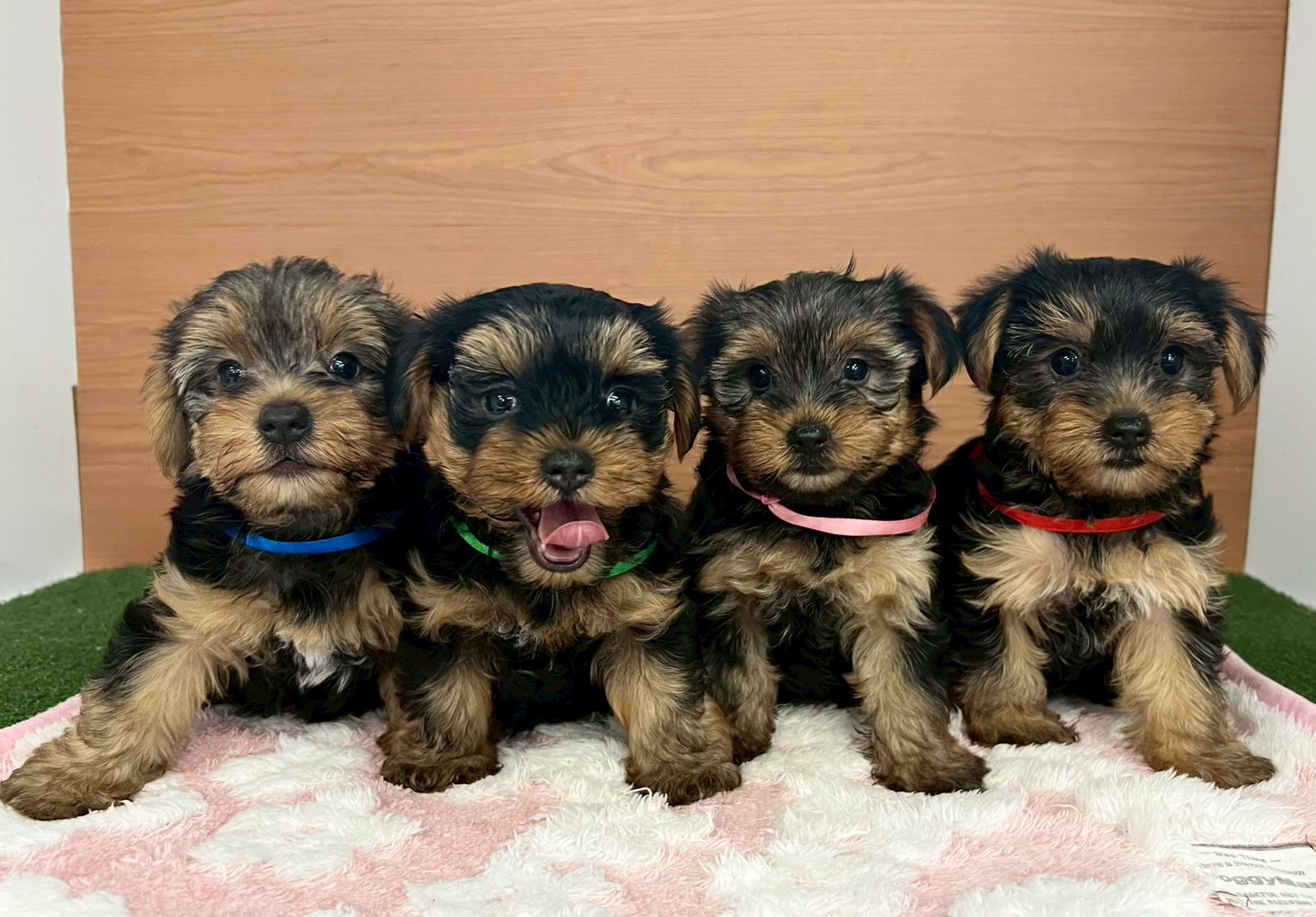 赤ちゃん写真3-3