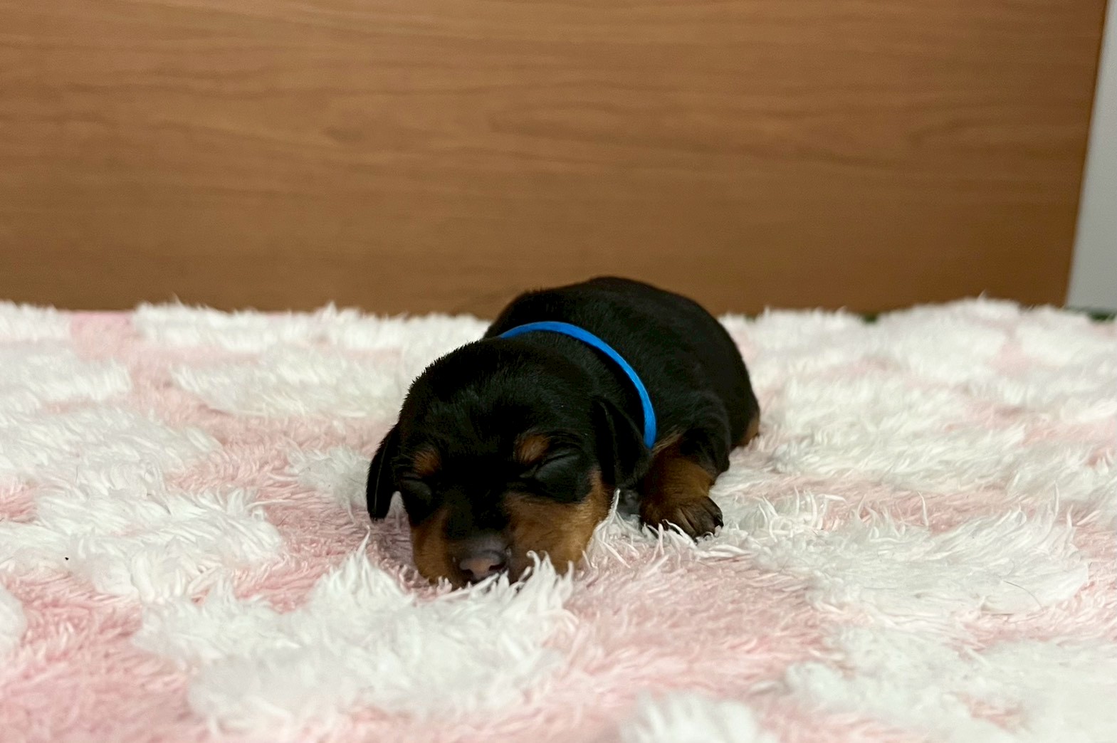 赤ちゃん写真1-1