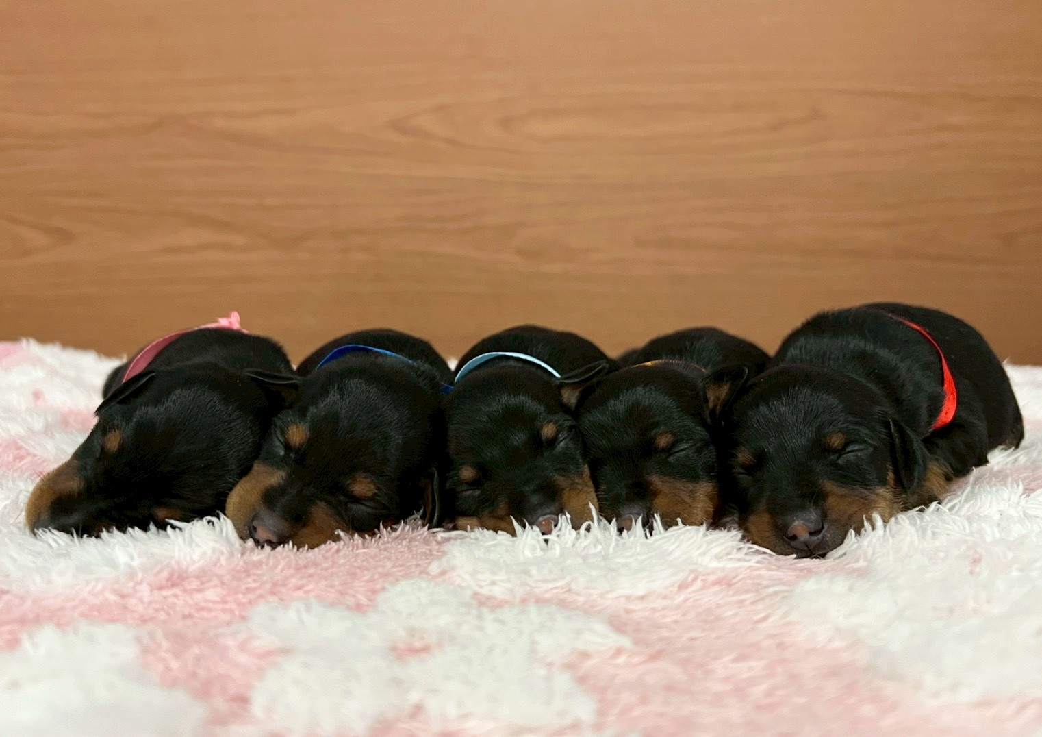赤ちゃん写真1-3