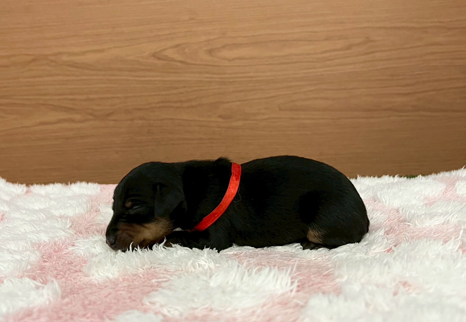 赤ちゃん写真1-2